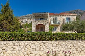 Hedera Estate, Hedera A24