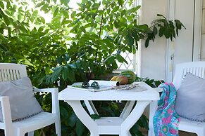 Hedera Estate, Hedera Studio 6