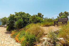 Hedera Estate, House Hedera