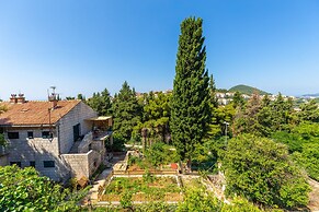 Hedera Estate, Hedera A55