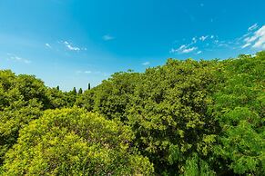 Hedera Estate, Hedera A1