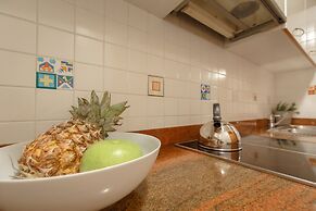 Hedera Estate, Hedera A17