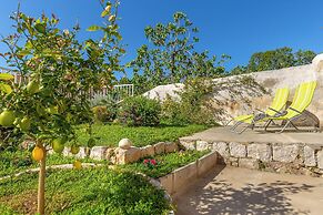 Hedera Estate, Hedera A10