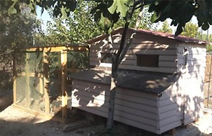 Urla Begonvil Pansiyon