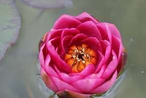 Ferienwohnung Genner Kitzbühel