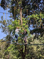 Coorg Wilderness Resort & Spa