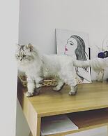 Hello Saigon Homestay