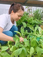 Hello Saigon Homestay