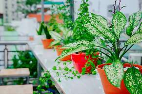 Hello Saigon Homestay