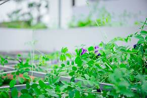 Hello Saigon Homestay