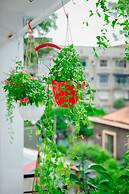 Hello Saigon Homestay