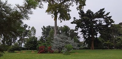 The Estate Ebwerenga