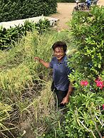 Milin Villa Resort Kanchanaburi