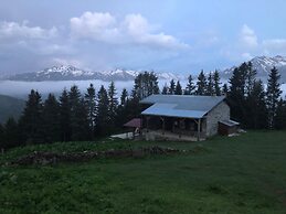 Tanevit Dag Evi