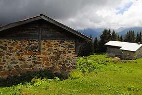 Tanevit Dag Evi