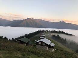 Tanevit Dag Evi
