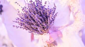 Crowne Plaza Deqing Moganshan by IHG