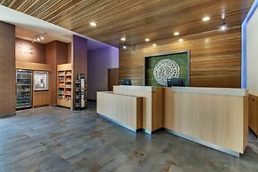 Fairfield Inn & Suites by Marriott Houston Brookhollow