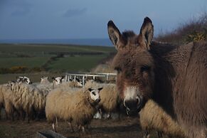 Bayview Farm Holiday Cottages
