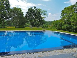 Tropical Dream Villa