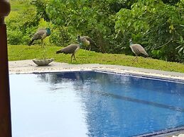 Tropical Dream Villa