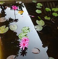 Tropical Dream Villa