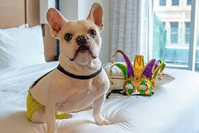 Residence Inn by Marriott New Orleans French Quarter Area/Central Busi