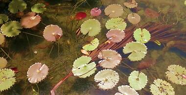 Hotel Laguna Encantada