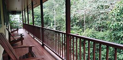 Apartamentos Caligo de Osa