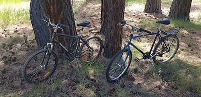 Riverwoods Relaxation 3 Bedroom Home by RedAwning