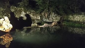 Bosque de Cuevas