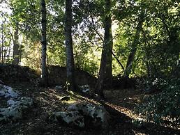 Bosque de Cuevas