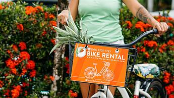 Bird of Paradise Hotel