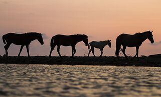 Bird of Paradise Hotel