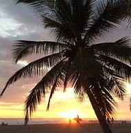 Bird of Paradise Hotel