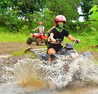 Bird of Paradise Hotel