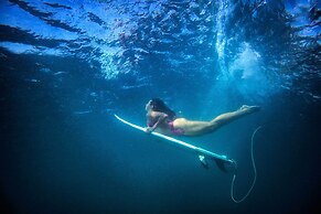 Bird of Paradise Hotel