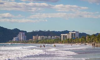 Bird of Paradise Hotel