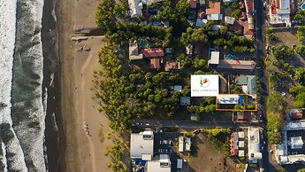 Bird of Paradise Hotel