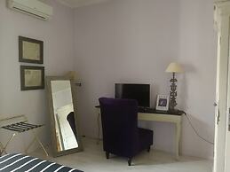 Gatto Bianco Casa dei Venti