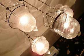 Gatto Bianco Casa dei Venti