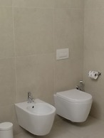 Gatto Bianco Duchessa