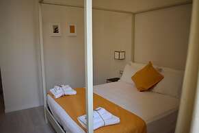 Gatto Bianco Duchessa