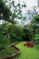 La Terraza Guest House B&B