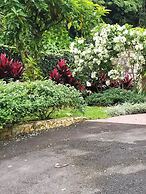 La Terraza Guest House B&B