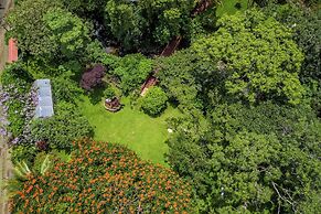 La Terraza Guest House B&B