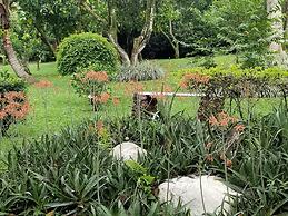 La Terraza Guest House B&B