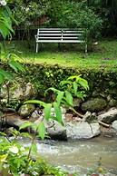 La Terraza Guest House B&B