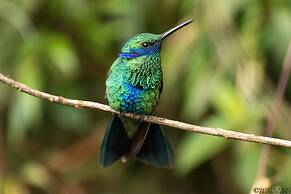 Fami Hotel Vive Jardin - Hostel