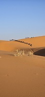 Dune Merzouga Camp